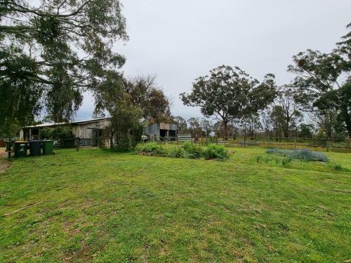 Ryder Homestead And Cabins