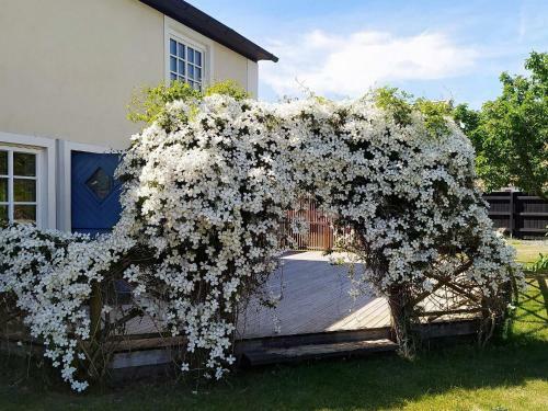 Holiday Home Smygehamn