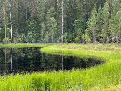 Hostal Professorsvillan - Rum Med Sj�lvhush�ll