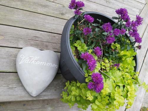 H�llestrand Cottage Krabban