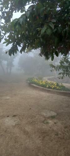 Tranquility Farm Stay