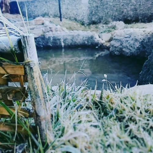 Hostal Garden Residency