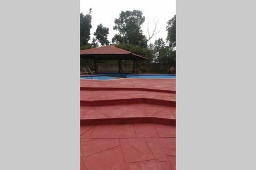 Ashish Farms