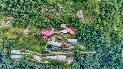 Hotel Sherpa Eco Resort