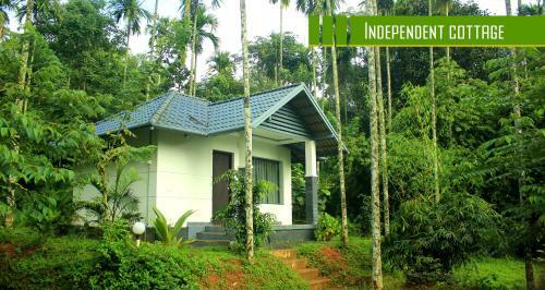 Villa Vintage Garden Resort