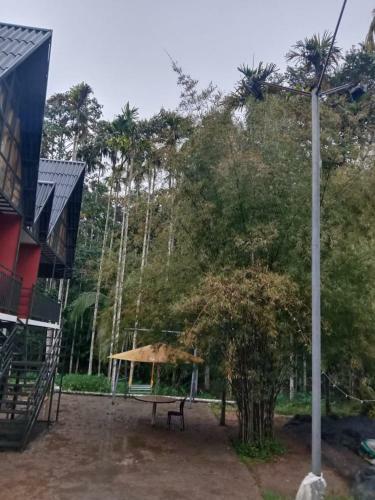 Hotel Bamboo Valley Resort