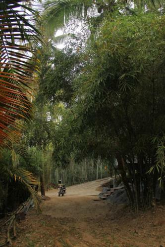 Hotel Bamboo Valley Resort