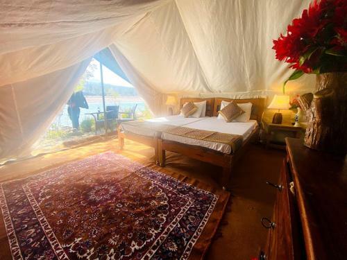 Hotel Lushy Days Boom Camp