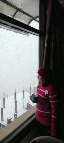 Hotel Home Inn Shimla B&B