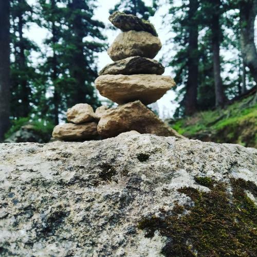Bed & Breakfast Shimla Pines Homestay