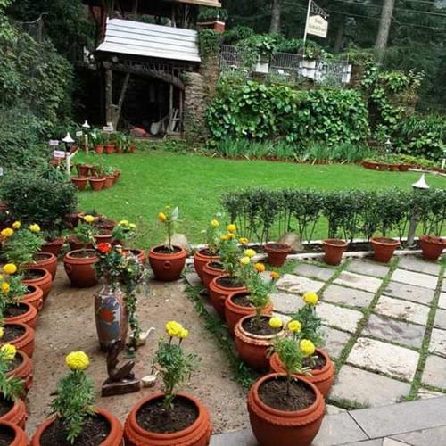 Hotel Shimla British