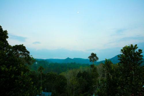 Hill Way Homestay