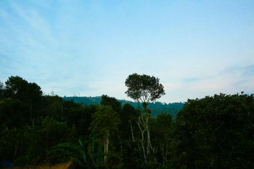 Hill Way Homestay