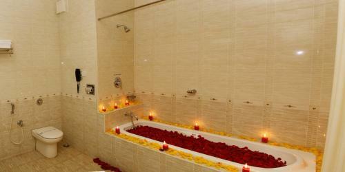 Hotel Dsf Grand Plaza