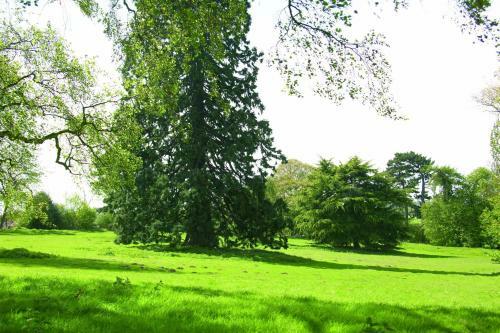 Hotel Woodland Grange