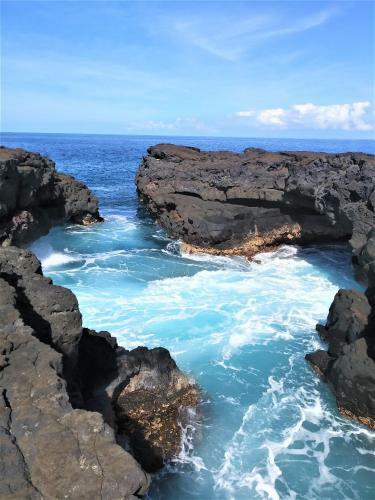 Apartamento Ocean View Paradise!
