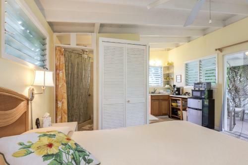 Tropical Pool Cottage Close To Kailua Beach