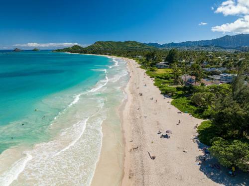 Hawaiian Dream - Beachfront Oceanfront Paradise, Villa