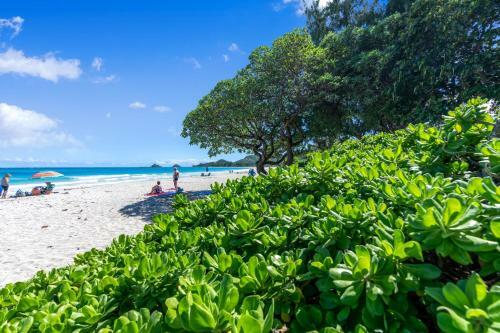 Hawaiian Dream - Beachfront Oceanfront Paradise, Villa