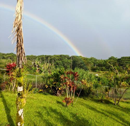 Apartamento Private Luxury Suite In Hilo