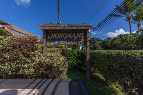 Nohonani 104