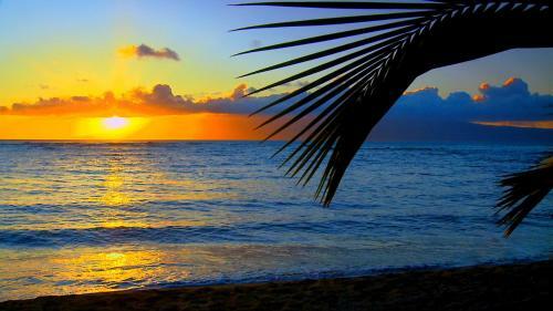 Apartamento Maui Tranquility II