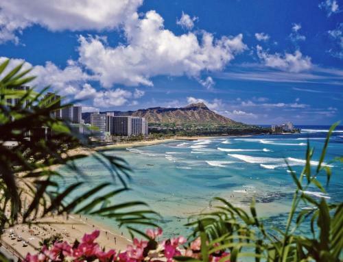 Apartamento Kuhio At Waikiki 1109