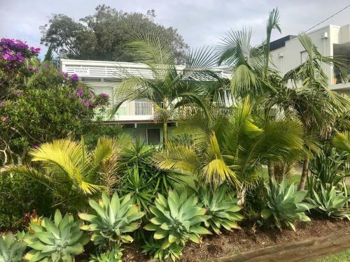 Beached @ Yamba (Water Views, Dog Friendly, Air Con)
