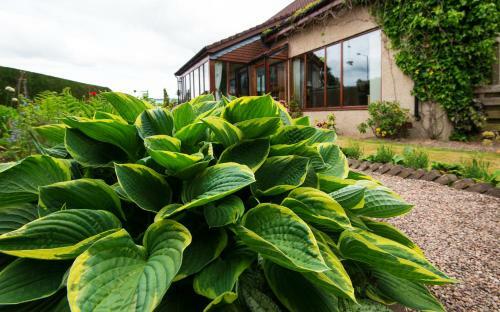 Bed & Breakfast Burnbank