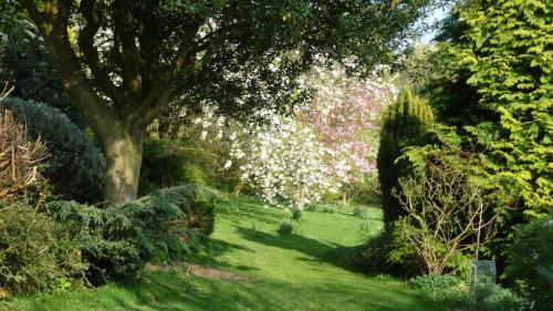 Hostal Shallowdale House