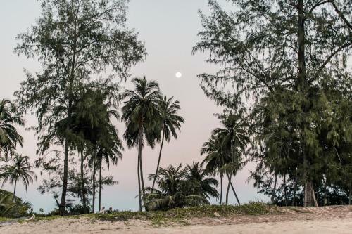 Hostal Horizon Eco Resort