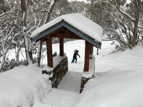 Magnificent Skiing On Mount Buller