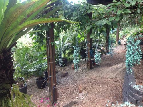 Daintree Holiday Homes - The Folly