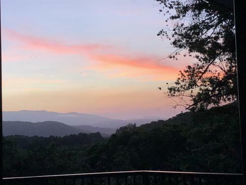 Daintree Valley Cottage