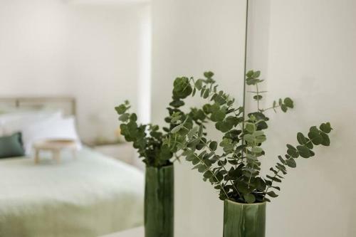 Juniper Apartment, North Byron Shire