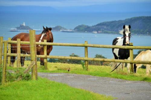 Agroturismo Clyne Farm Centre