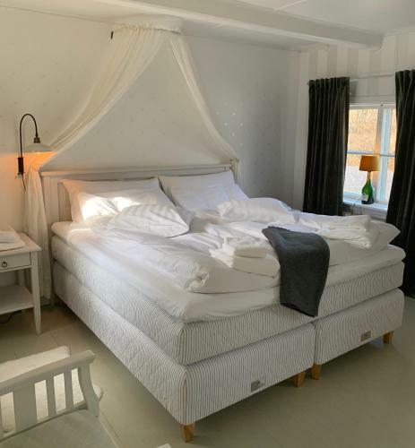 Hotel Tv� Sm� Svin Bnb