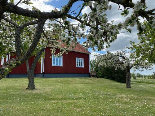 Stubbet - Charming - Newly Remade Villa