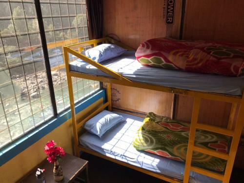 Pahadibucks Hostel
