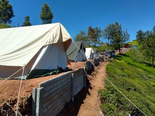 Jfr Campsite Ooty