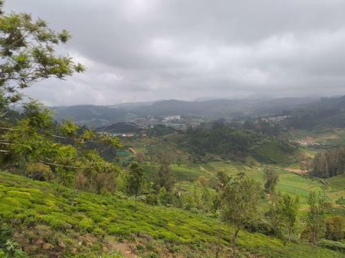 Jfr Campsite Ooty