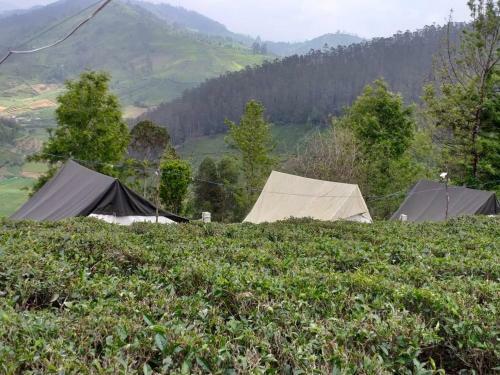 Jfr Campsite Ooty