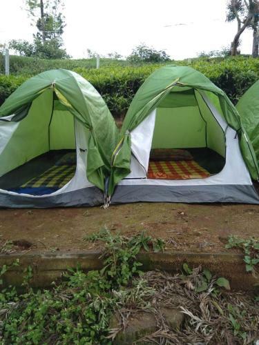Jfr Campsite Ooty