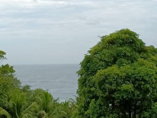 Hotel Ocean Tales