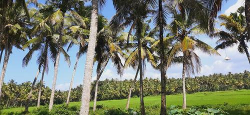 Apartamento Paddy Farm Beach Resort