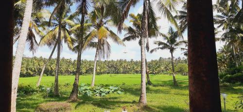 Apartamento Paddy Farm Beach Resort
