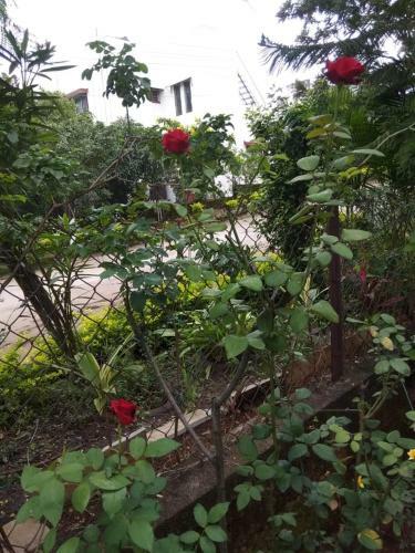 Villa Chaitanya Holiday Home