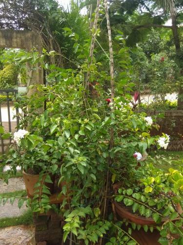 Villa Chaitanya Holiday Home