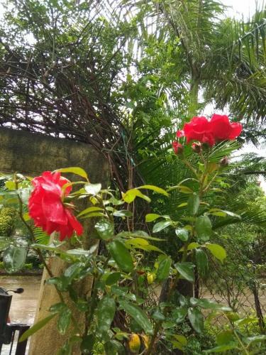 Villa Chaitanya Holiday Home