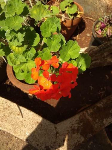 Villa Chaitanya Holiday Home
